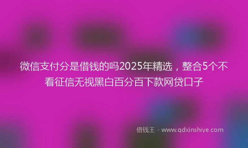 微信支付分是借钱的吗2025年精选，整合5个不看征信无视黑白百分百下款网贷口子