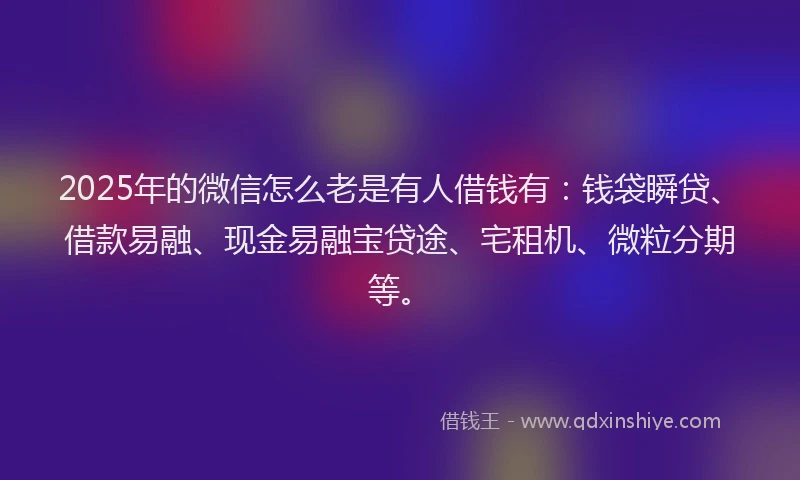 2025年的微信怎么老是有人借钱有：钱袋瞬贷、借款易融、现金易融宝贷途、宅租机、微粒分期等。