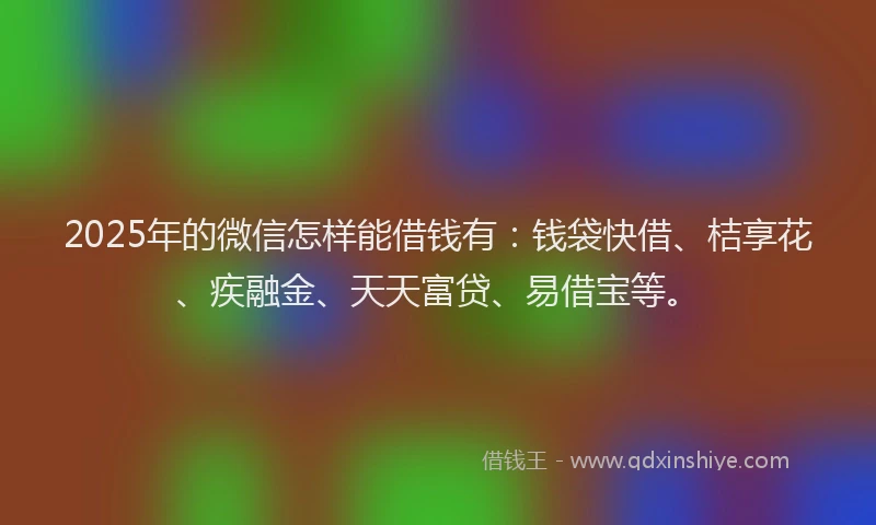 2025年的微信怎样能借钱有：钱袋快借、桔享花、疾融金、天天富贷、易借宝等。