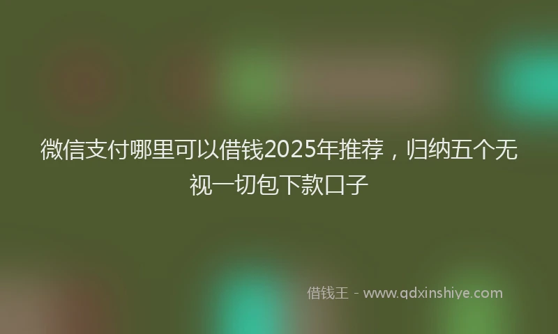 微信支付哪里可以借钱2025年推荐，归纳五个无视一切包下款口子
