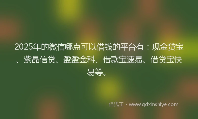 2025年的微信哪点可以借钱的平台有：现金贷宝、紫晶信贷、盈盈金科、借款宝速易、借贷宝快易等。