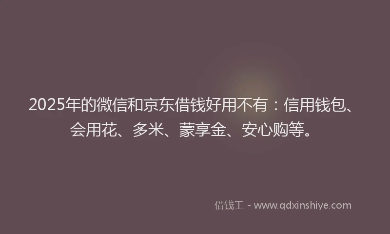 2025年的微信和京东借钱好用不有：信用钱包、会用花、多米、蒙享金、安心购等。