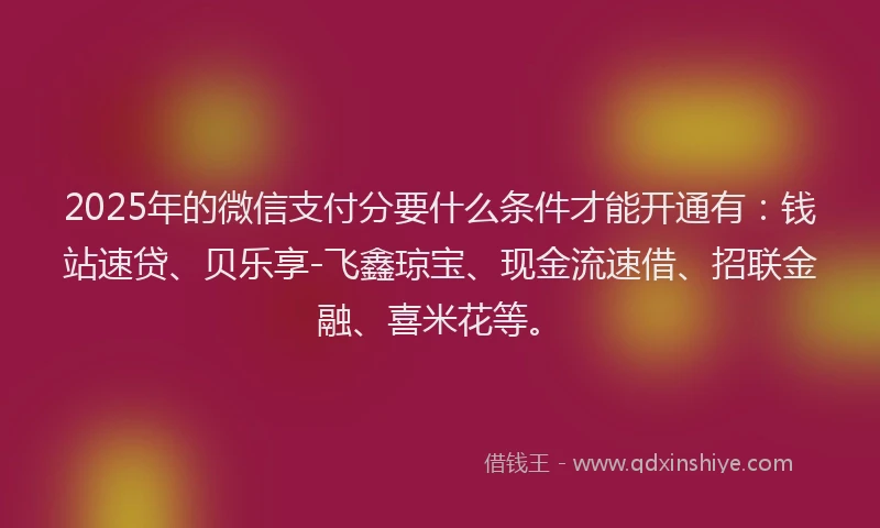 2025年的微信支付分要什么条件才能开通有：钱站速贷、贝乐享-飞鑫琼宝、现金流速借、招联金融、喜米花等。
