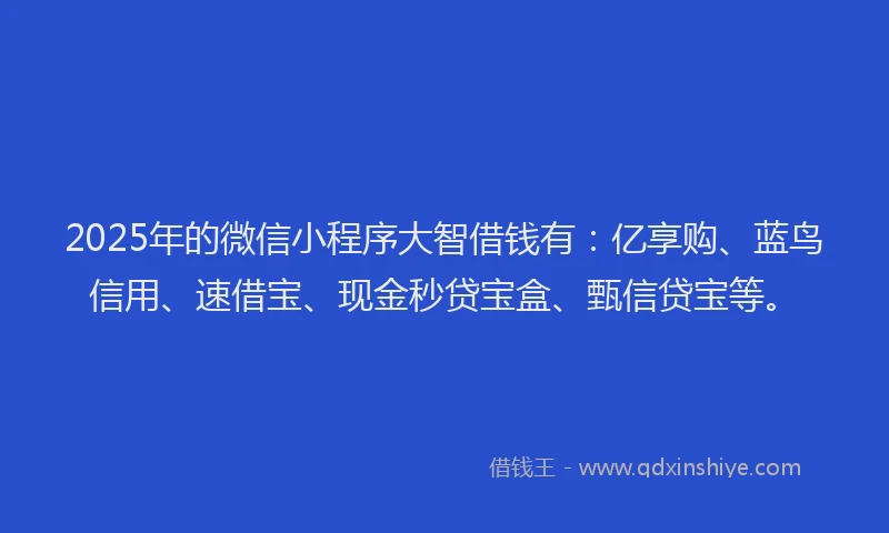 2025年的微信小程序大智借钱有：亿享购、蓝鸟信用、速借宝、现金秒贷宝盒、甄信贷宝等。