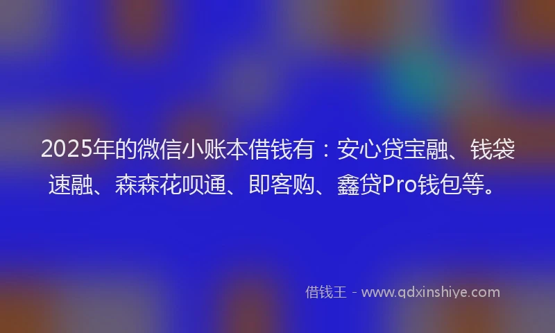 2025年的微信小账本借钱有:安心贷宝融、钱袋速融、森森花呗通、即客购、鑫贷Pro钱包等。