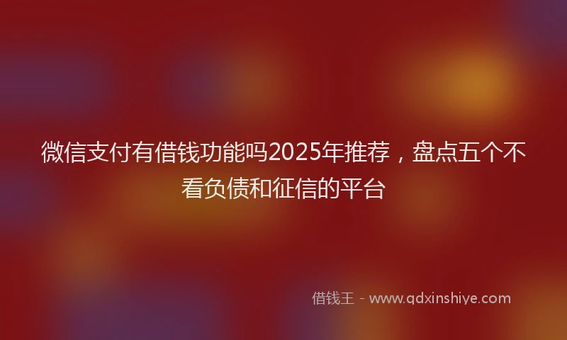 微信支付有借钱功能吗2025年推荐，盘点五个不看负债和征信的平台