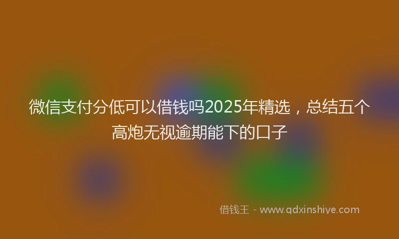 微信支付分低可以借钱吗2025年精选，总结五个高炮无视逾期能下的口子