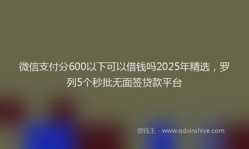 微信支付分600以下可以借钱吗2025年精选，罗列5个秒批无面签贷款平台