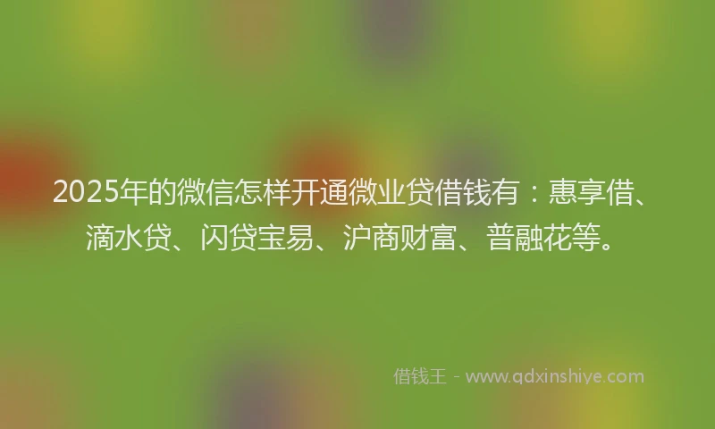 2025年的微信怎样开通微业贷借钱有：惠享借、滴水贷、闪贷宝易、沪商财富、普融花等。