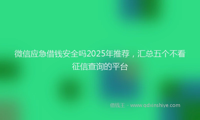 微信应急借钱安全吗2025年推荐，汇总五个不看征信查询的平台