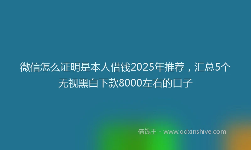 微信怎么证明是本人借钱2025年推荐，汇总5个无视黑白下款8000左右的口子