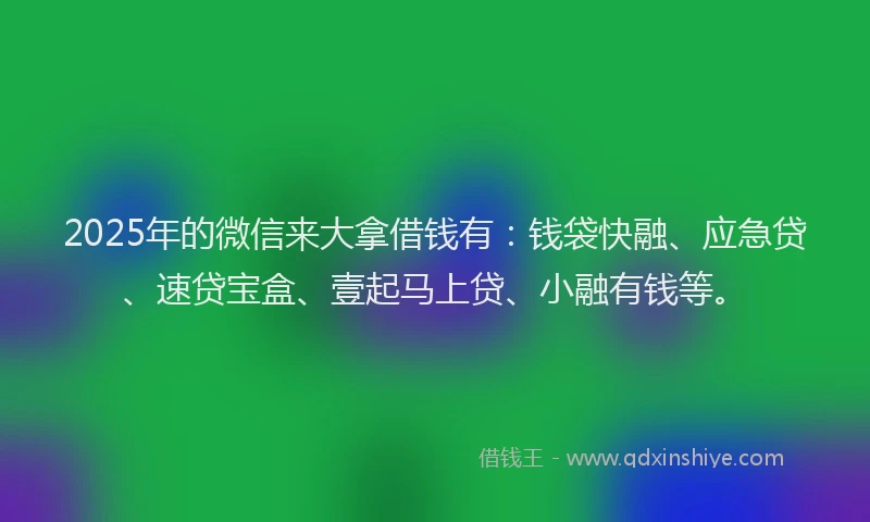 2025年的微信来大拿借钱有：钱袋快融、应急贷、速贷宝盒、壹起马上贷、小融有钱等。