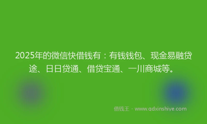2025年的微信快借钱有：有钱钱包、现金易融贷途、日日贷通、借贷宝通、一川商城等。