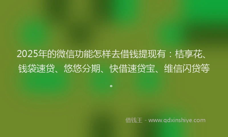 2025年的微信功能怎样去借钱提现有：桔享花、钱袋速贷、悠悠分期、快借速贷宝、维信闪贷等。