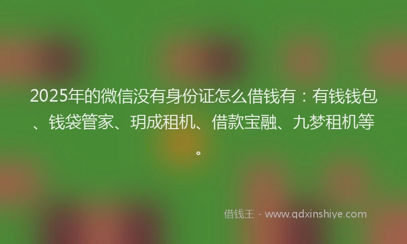 2025年的微信没有身份证怎么借钱有：有钱钱包、钱袋管家、玥成租机、借款宝融、九梦租机等。