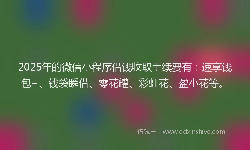 2025年的微信小程序借钱收取手续费有：速享钱包+、钱袋瞬借、零花罐、彩虹花、盈小花等。