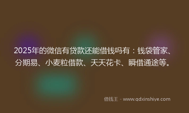 2025年的微信有贷款还能借钱吗有：钱袋管家、分期易、小麦粒借款、天天花卡、瞬借通途等。