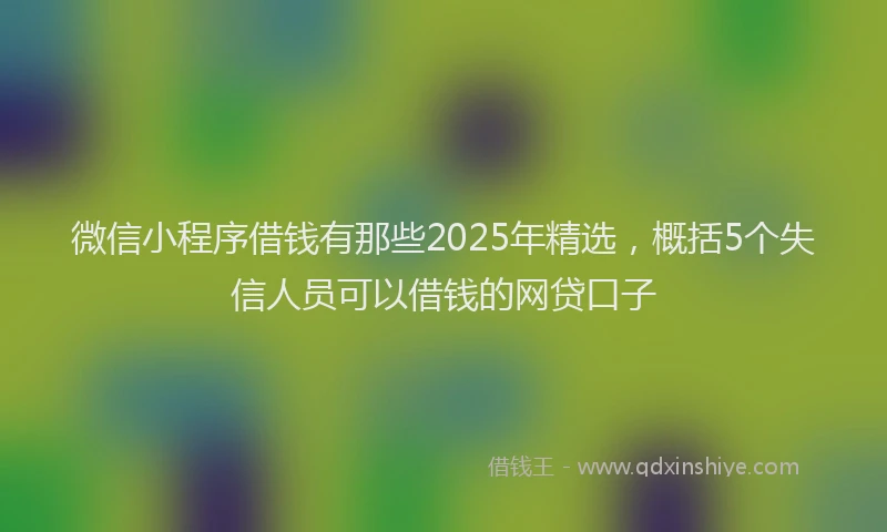 微信小程序借钱有那些2025年精选，概括5个失信人员可以借钱的网贷口子