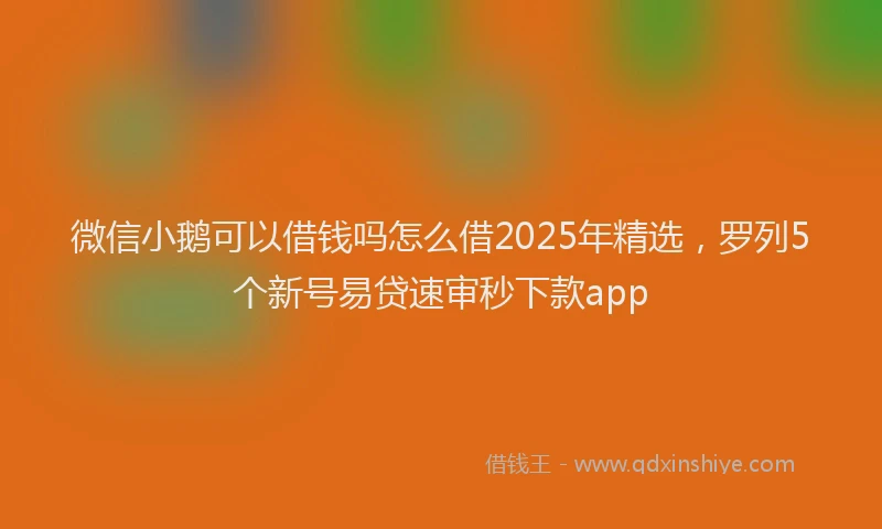 微信小鹅可以借钱吗怎么借2025年精选，罗列5个新号易贷速审秒下款app