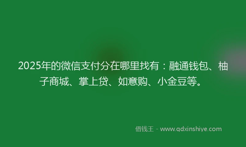 2025年的微信支付分在哪里找有：融通钱包、柚子商城、掌上贷、如意购、小金豆等。