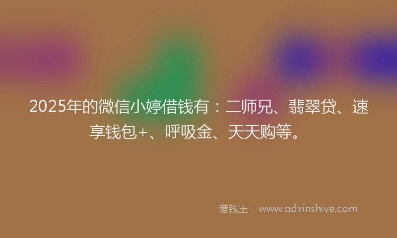 2025年的微信小婷借钱有:二师兄、翡翠贷、速享钱包+、呼吸金、天天购等。