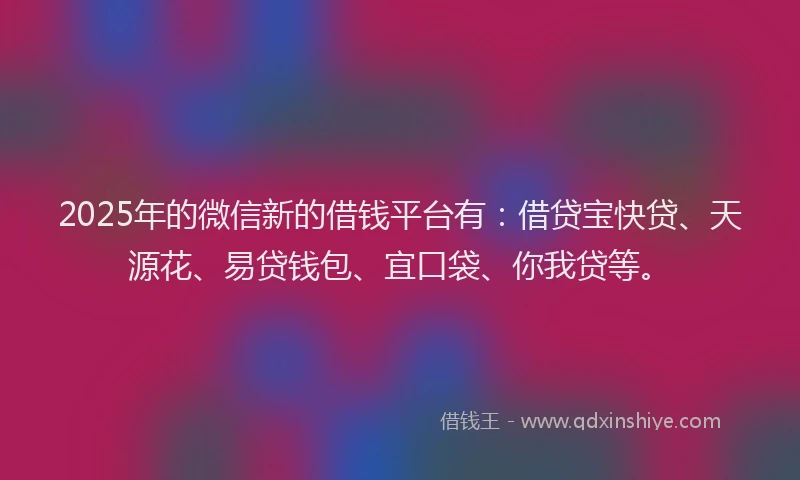 2025年的微信新的借钱平台有：借贷宝快贷、天源花、易贷钱包、宜口袋、你我贷等。