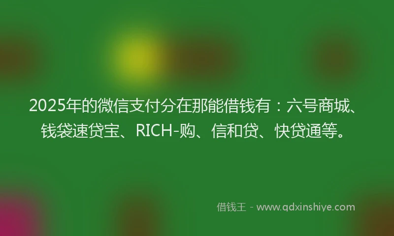 2025年的微信支付分在那能借钱有：六号商城、钱袋速贷宝、RICH-购、信和贷、快贷通等。