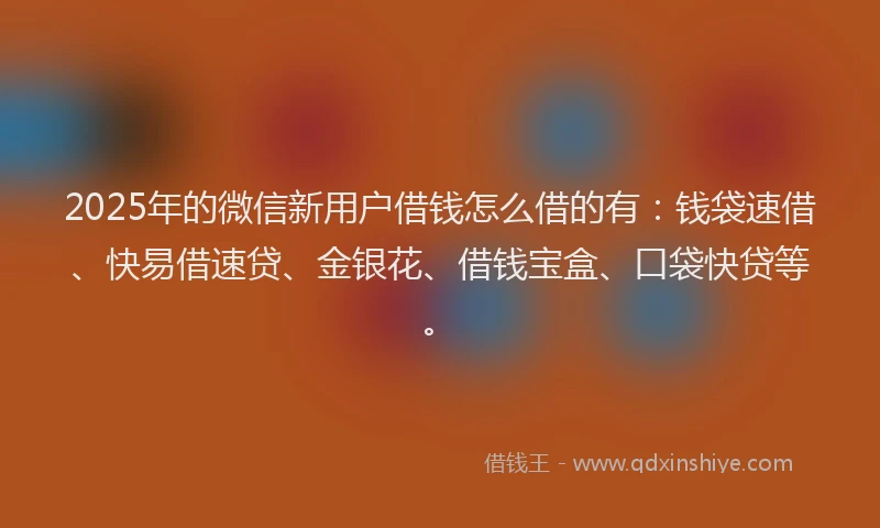 2025年的微信新用户借钱怎么借的有：钱袋速借、快易借速贷、金银花、借钱宝盒、口袋快贷等。