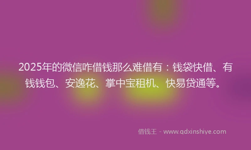 2025年的微信咋借钱那么难借有：钱袋快借、有钱钱包、安逸花、掌中宝租机、快易贷通等。