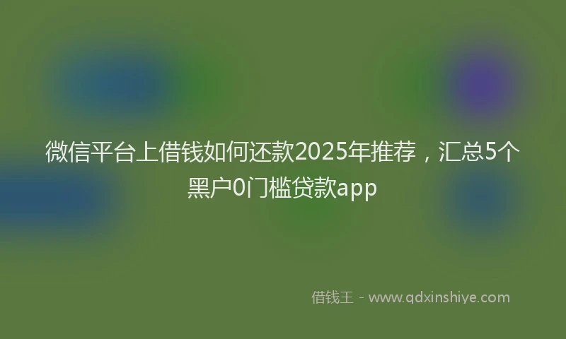 微信平台上借钱如何还款2025年推荐，汇总5个黑户0门槛贷款app