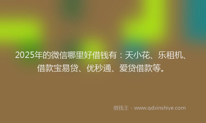 2025年的微信哪里好借钱有：天小花、乐租机、借款宝易贷、优秒通、爱贷借款等。