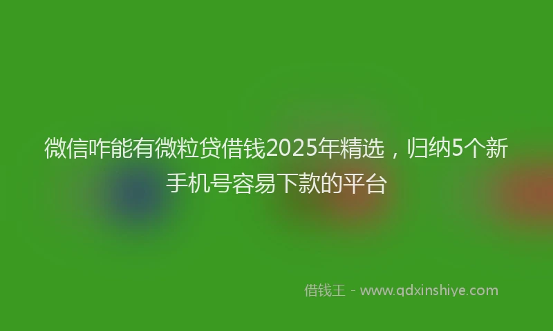 微信咋能有微粒贷借钱2025年精选，归纳5个新手机号容易下款的平台