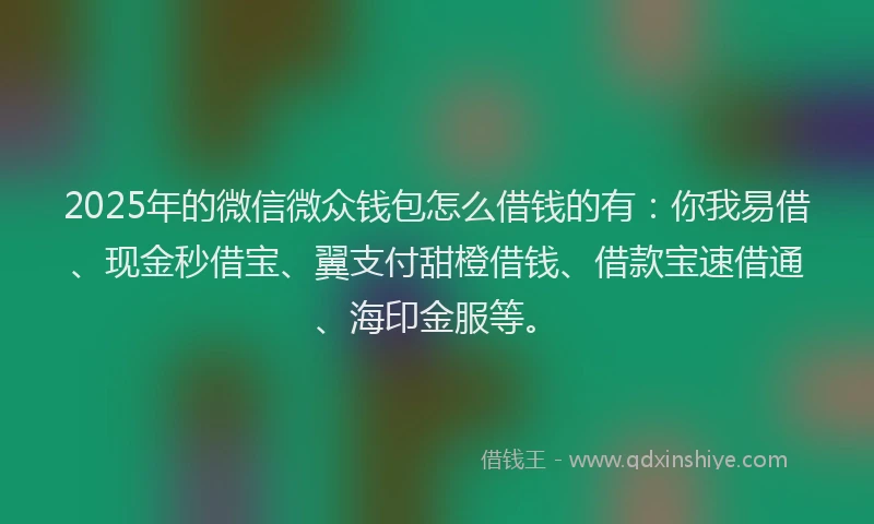 2025年的微信微众钱包怎么借钱的有：你我易借、现金秒借宝、翼支付甜橙借钱、借款宝速借通、海印金服等。