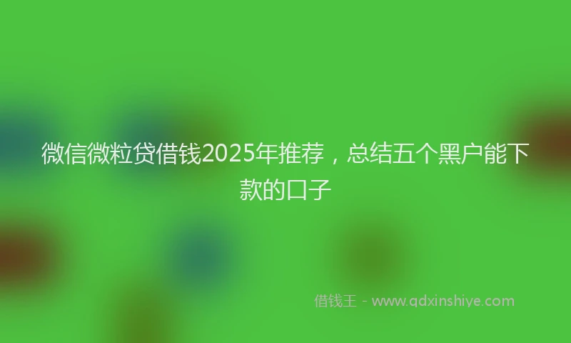 微信微粒贷借钱2025年推荐，总结五个黑户能下款的口子
