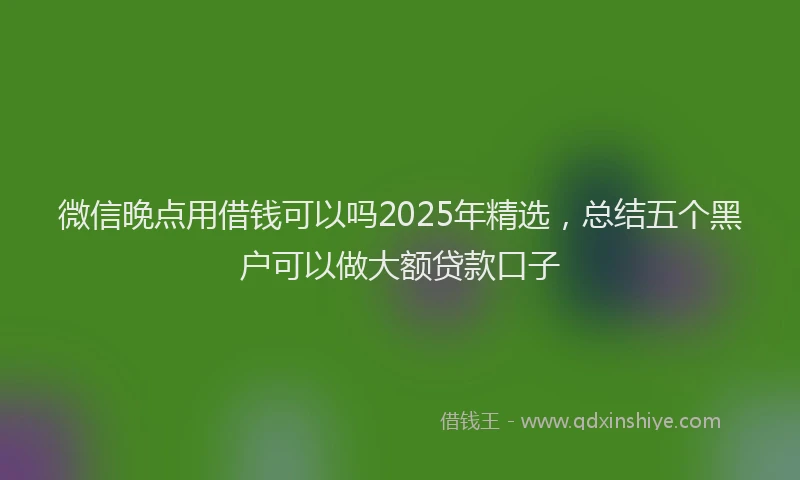 微信晚点用借钱可以吗2025年精选，总结五个黑户可以做大额贷款口子