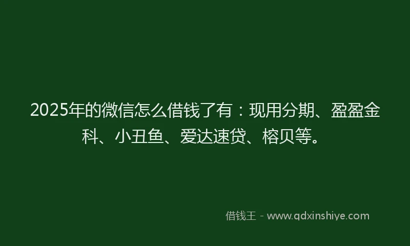 2025年的微信怎么借钱了有：现用分期、盈盈金科、小丑鱼、爱达速贷、榕贝等。