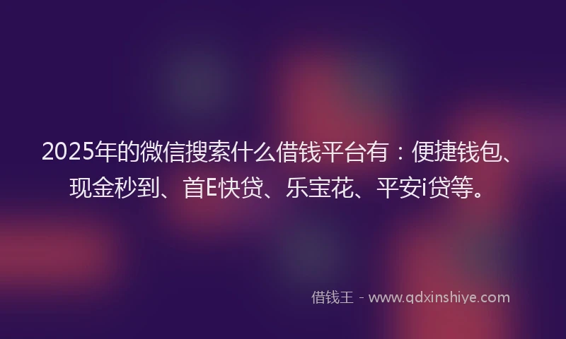 2025年的微信搜索什么借钱平台有：便捷钱包、现金秒到、首E快贷、乐宝花、平安i贷等。