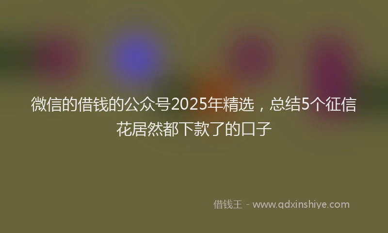 微信的借钱的公众号2025年精选，总结5个征信花居然都下款了的口子