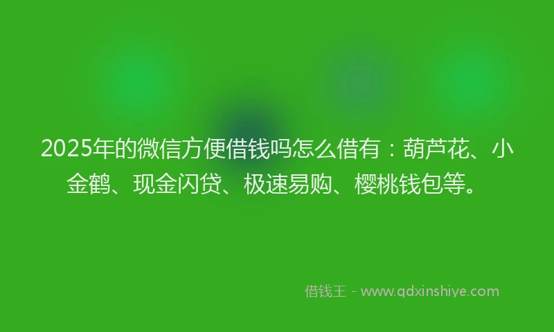 2025年的微信方便借钱吗怎么借有：葫芦花、小金鹤、现金闪贷、极速易购、樱桃钱包等。