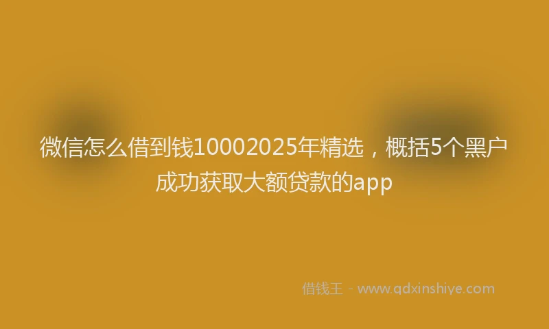 微信怎么借到钱10002025年精选，概括5个黑户成功获取大额贷款的app