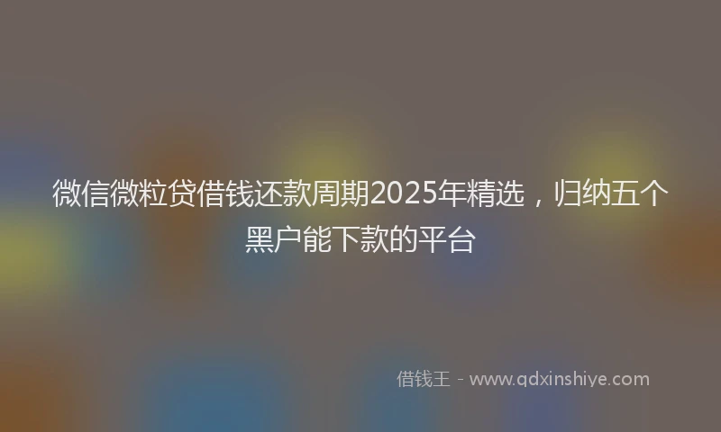 微信微粒贷借钱还款周期2025年精选，归纳五个黑户能下款的平台
