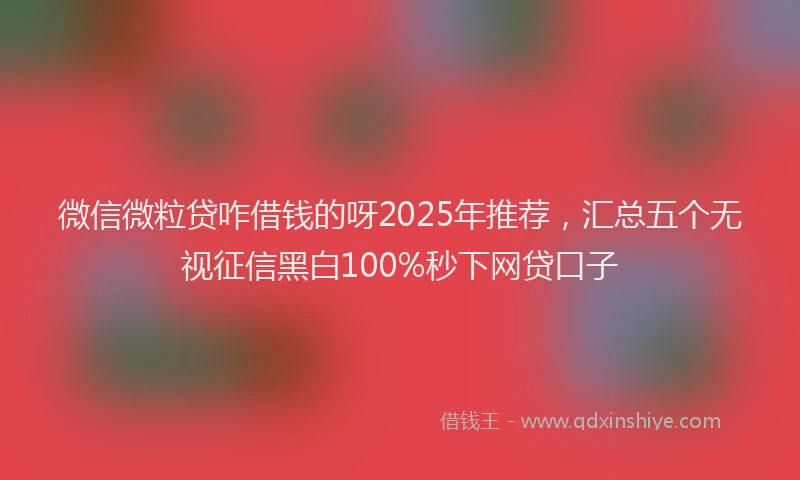 微信微粒贷咋借钱的呀2025年推荐，汇总五个无视征信黑白100%秒下网贷口子