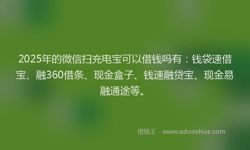 2025年的微信扫充电宝可以借钱吗有：钱袋速借宝、融360借条、现金盒子、钱速融贷宝、现金易融通途等。