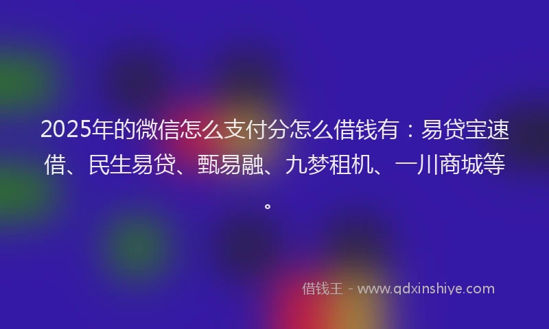 2025年的微信怎么支付分怎么借钱有：易贷宝速借、民生易贷、甄易融、九梦租机、一川商城等。