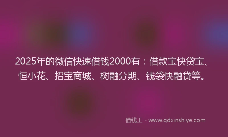 2025年的微信快速借钱2000有：借款宝快贷宝、恒小花、招宝商城、树融分期、钱袋快融贷等。