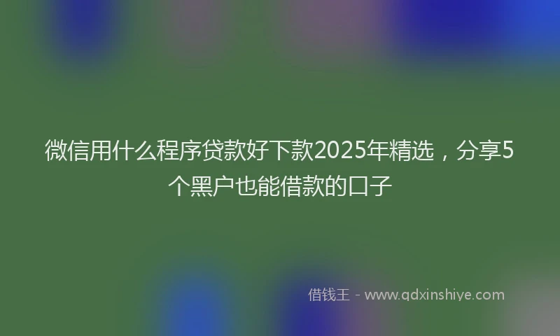 微信用什么程序贷款好下款2025年精选，分享5个黑户也能借款的口子