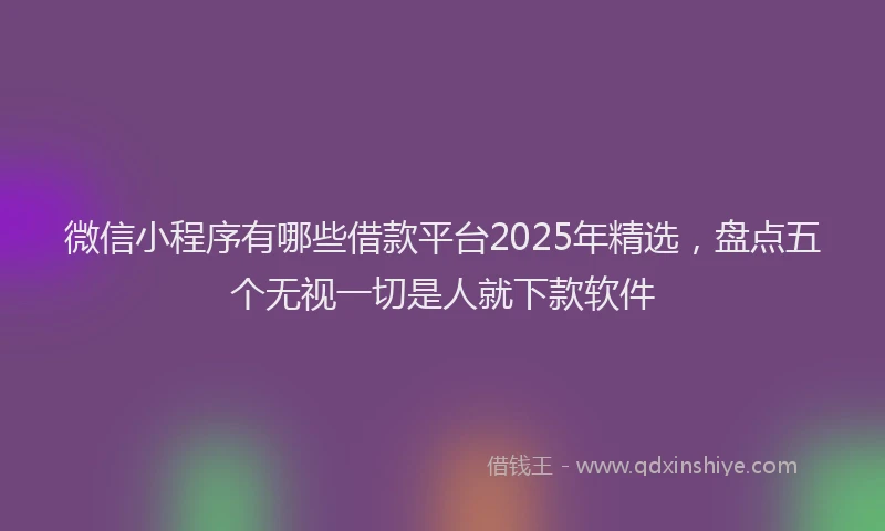 微信小程序有哪些借款平台2025年精选，盘点五个无视一切是人就下款软件