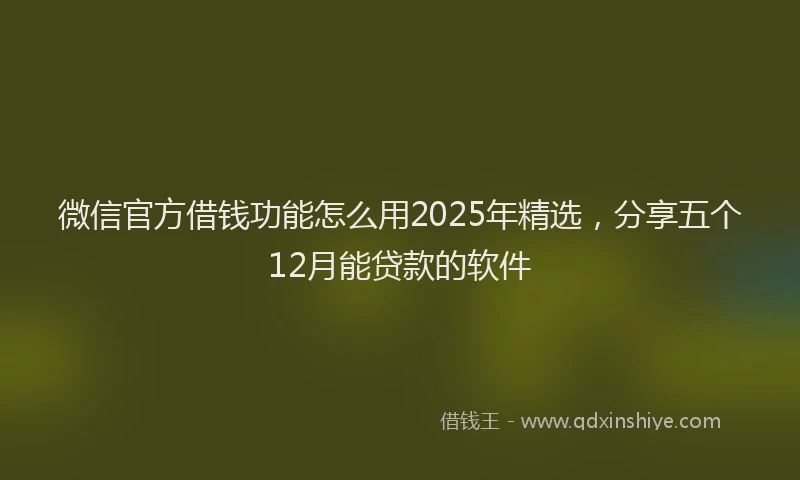 微信官方借钱功能怎么用2025年精选，分享五个12月能贷款的软件