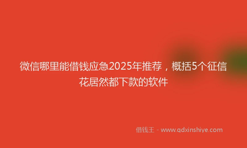 微信哪里能借钱应急2025年推荐，概括5个征信花居然都下款的软件