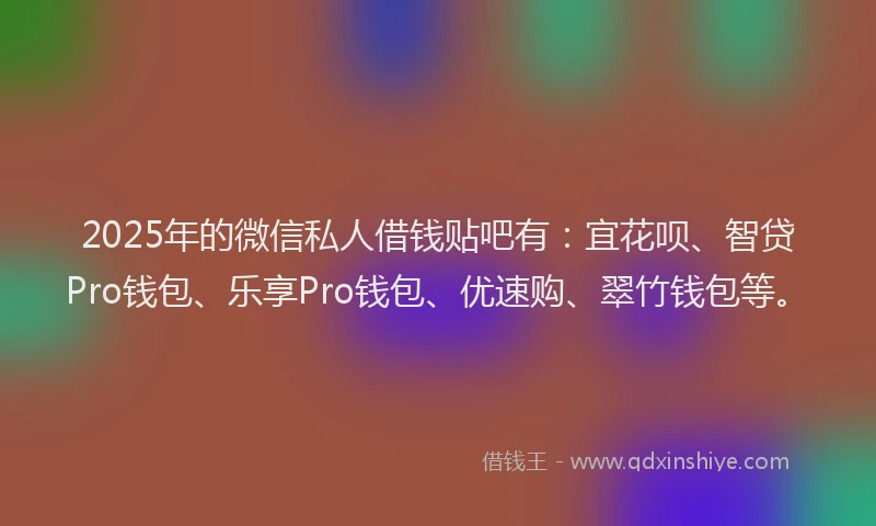 2025年的微信私人借钱贴吧有：宜花呗、智贷Pro钱包、乐享Pro钱包、优速购、翠竹钱包等。
